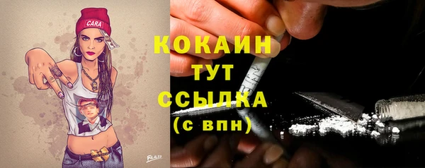 гашик Лабытнанги