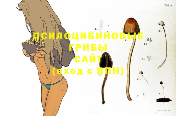 прущие крисы Липки