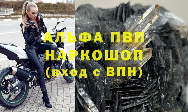 гашик Лабытнанги