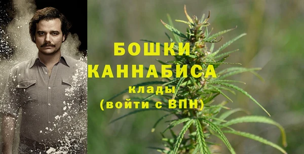 гашик Лабытнанги