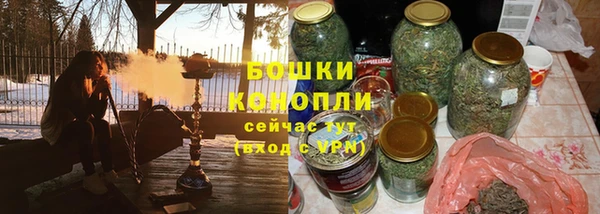 гидра Лагань