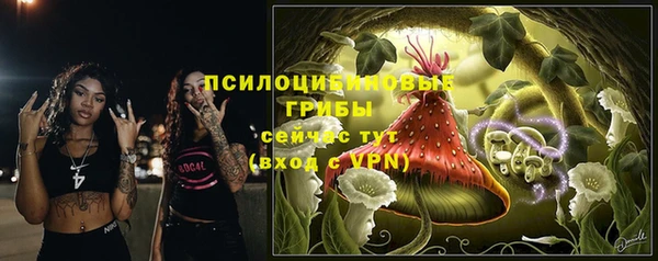 гидра Лагань