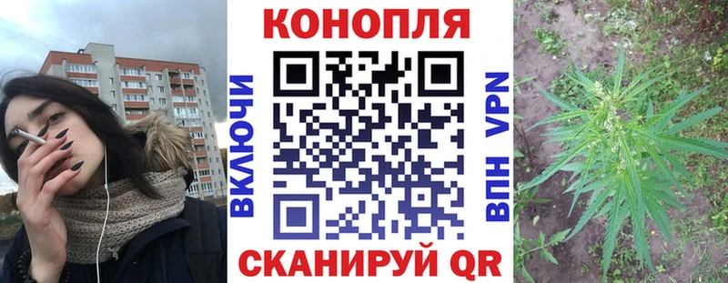 Бошки Шишки MAZAR  Купить закладки  Чистополь 
